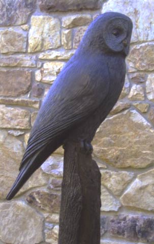 Gray Owl